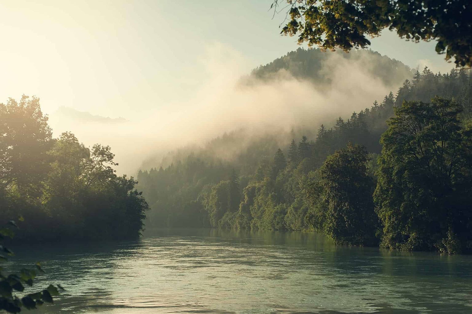 Wasserzweckverband Hohenschambach